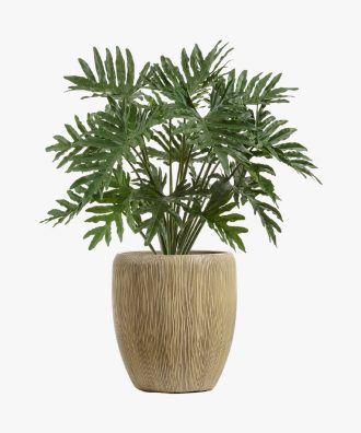 Philo Alobtt Artificial New Xanadu Plant